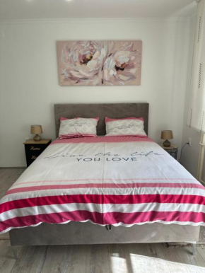 STUDIO APARTMAN PAVIĆ